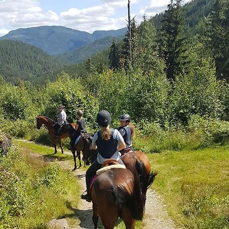 River Run Ranch - Telemark Drangedal Eksteriør billede