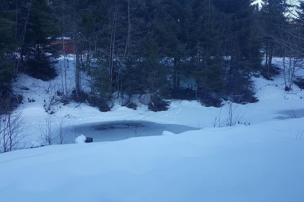 River Run Ranch - Telemark Drangedal Eksteriør billede