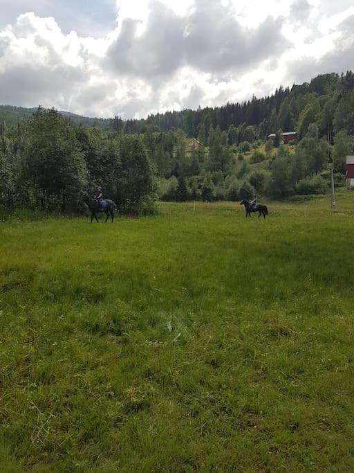 River Run Ranch - Telemark Drangedal Eksteriør billede