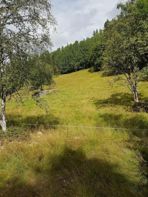 River Run Ranch - Telemark Drangedal Eksteriør billede